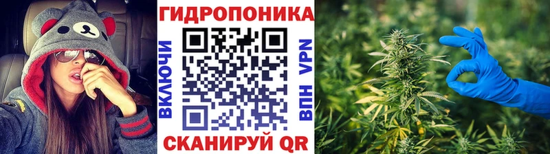 Названия наркотиков Сосновоборск Конопля  Кокаин  АМФ  Меф мяу мяу  ГАШИШ 