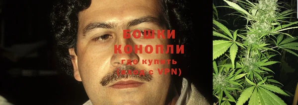 винт Липки