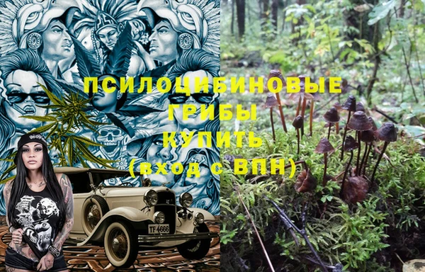 винт Липки