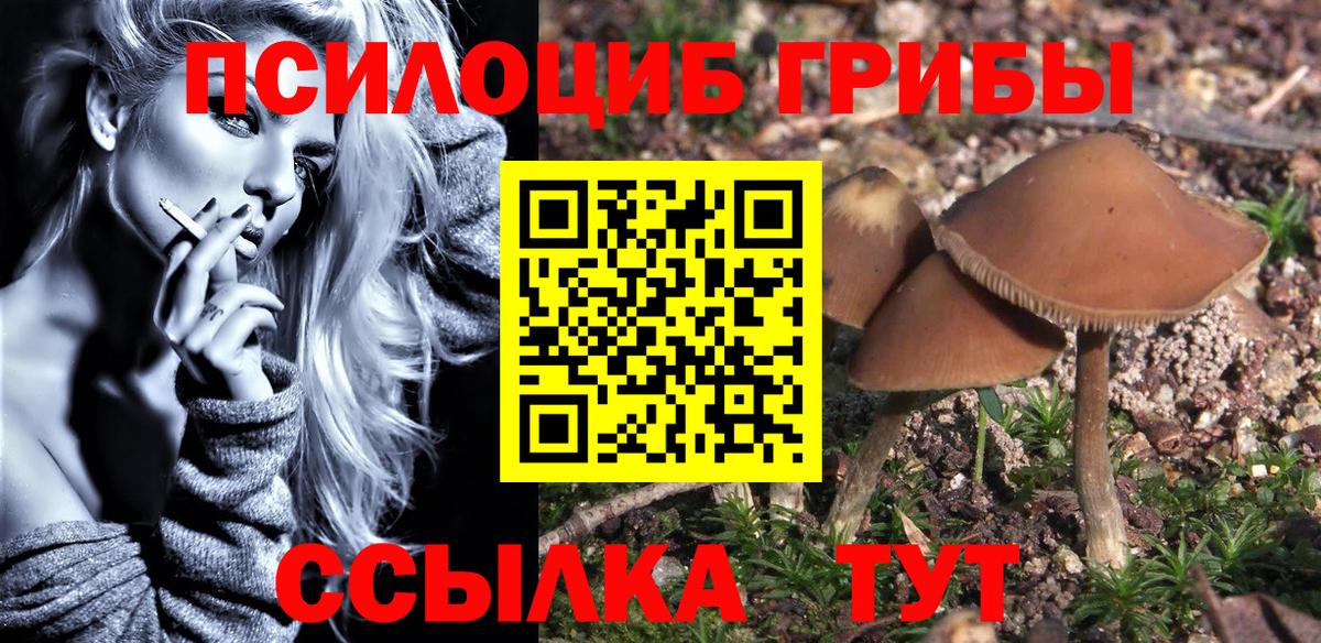 Псилоцибиновые грибы мицелий Сосновоборск