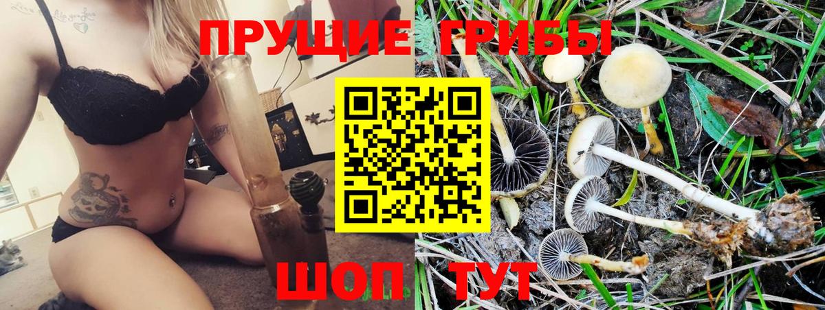 Псилоцибиновые грибы мицелий  Сосновоборск 